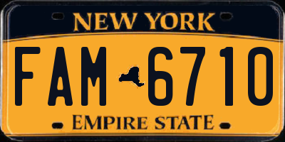 NY license plate FAM6710