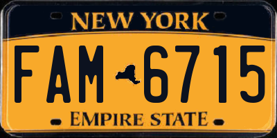 NY license plate FAM6715