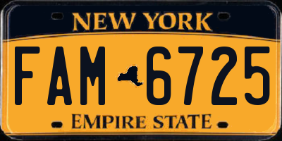 NY license plate FAM6725