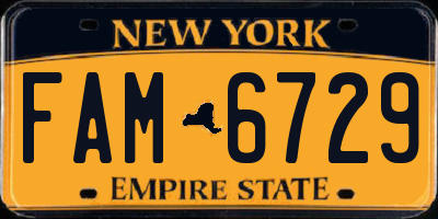 NY license plate FAM6729