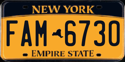 NY license plate FAM6730