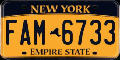 NY license plate FAM6733