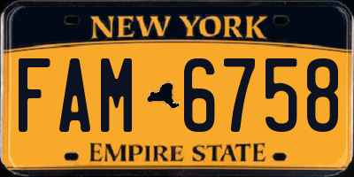 NY license plate FAM6758