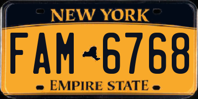 NY license plate FAM6768