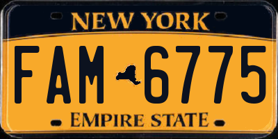 NY license plate FAM6775