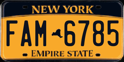 NY license plate FAM6785