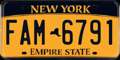 NY license plate FAM6791