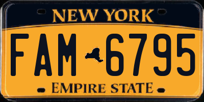 NY license plate FAM6795