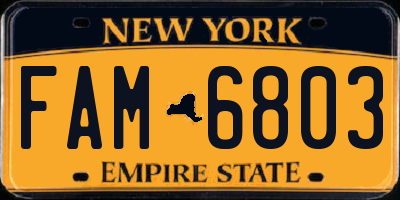 NY license plate FAM6803