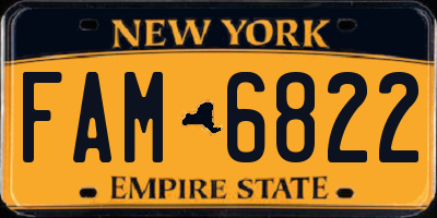 NY license plate FAM6822