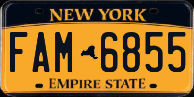 NY license plate FAM6855