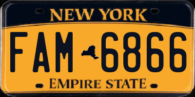 NY license plate FAM6866