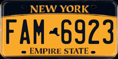 NY license plate FAM6923