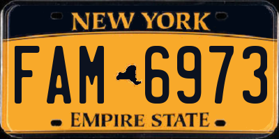 NY license plate FAM6973