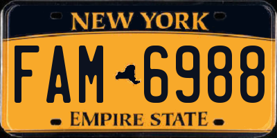 NY license plate FAM6988