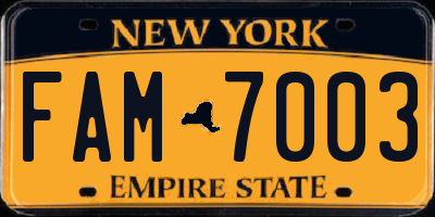 NY license plate FAM7003