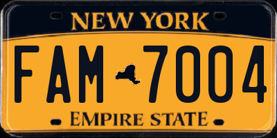 NY license plate FAM7004