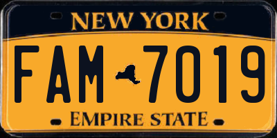 NY license plate FAM7019