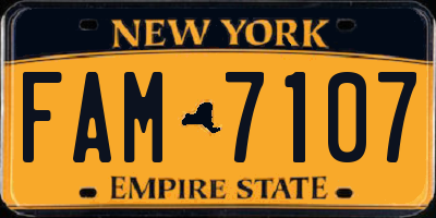 NY license plate FAM7107