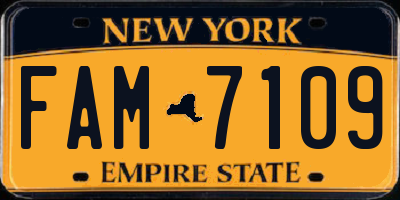 NY license plate FAM7109