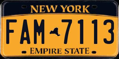NY license plate FAM7113