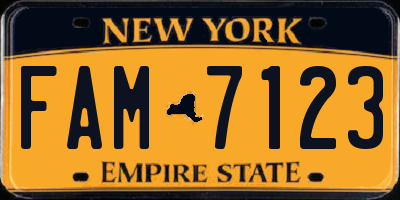 NY license plate FAM7123
