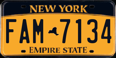 NY license plate FAM7134