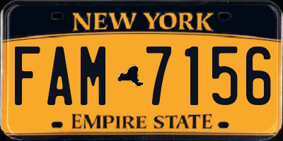 NY license plate FAM7156