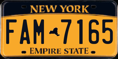 NY license plate FAM7165