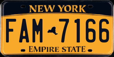 NY license plate FAM7166
