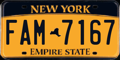 NY license plate FAM7167