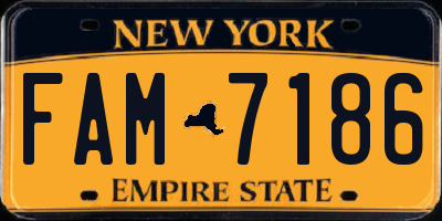 NY license plate FAM7186