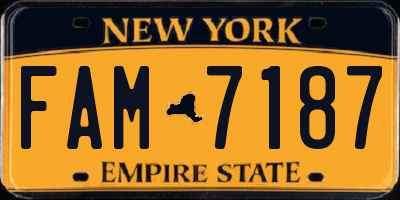 NY license plate FAM7187