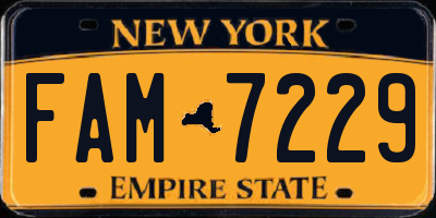 NY license plate FAM7229