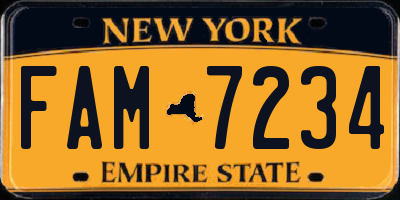 NY license plate FAM7234
