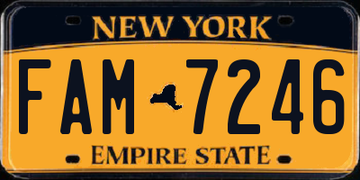 NY license plate FAM7246
