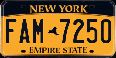 NY license plate FAM7250
