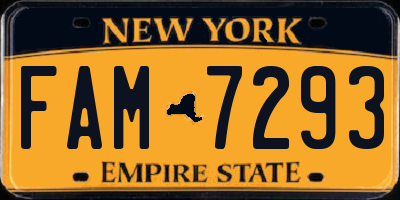 NY license plate FAM7293