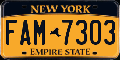 NY license plate FAM7303