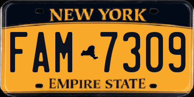 NY license plate FAM7309