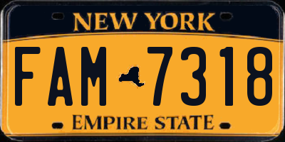 NY license plate FAM7318