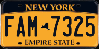 NY license plate FAM7325