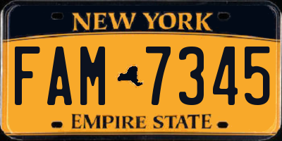 NY license plate FAM7345