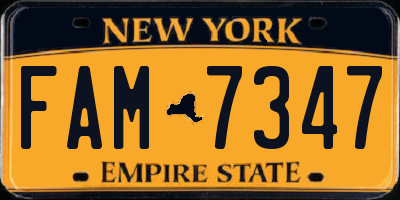 NY license plate FAM7347