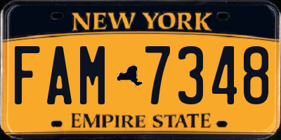NY license plate FAM7348