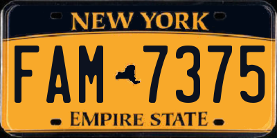 NY license plate FAM7375