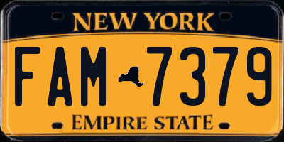 NY license plate FAM7379