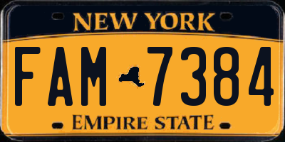 NY license plate FAM7384