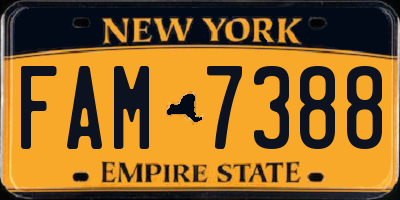 NY license plate FAM7388