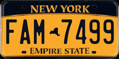 NY license plate FAM7499